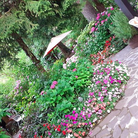 Albergo La Baita Corfino Екстер'єр фото